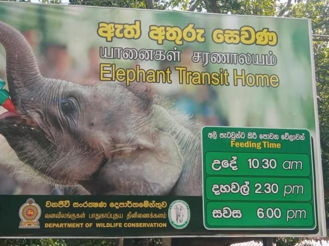 Udawalawe Wildlife & Nature Protection Bungalow 외부 사진