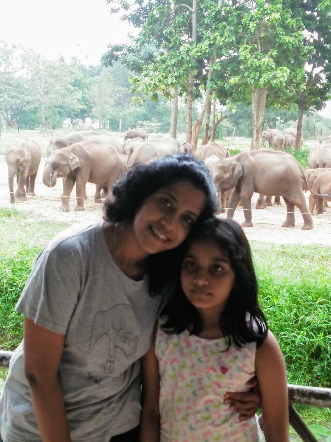 Udawalawe Wildlife & Nature Protection Bungalow 외부 사진